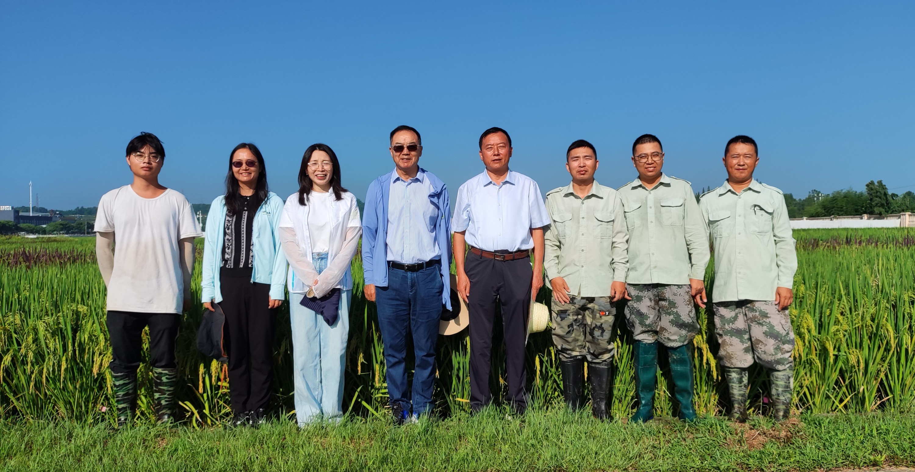 张启发最新消息｜张启发最新动态