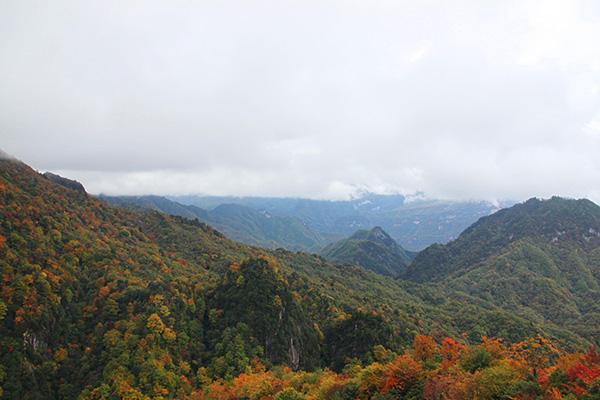 专题快报 第38页