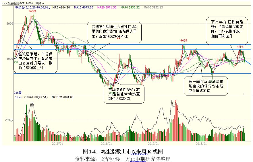 喜讯传来：鸡蛋市场行情看涨，美好前景展望无限