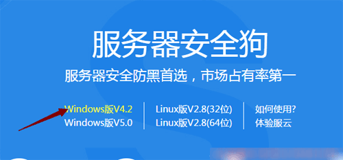 “业界领先的安全防护软件推荐”