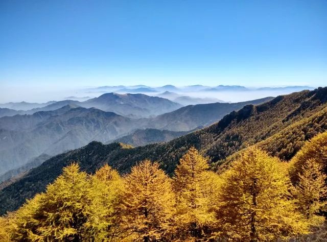 邹城鲁香山景区门票价格实时更新，最新优惠价一览无遗